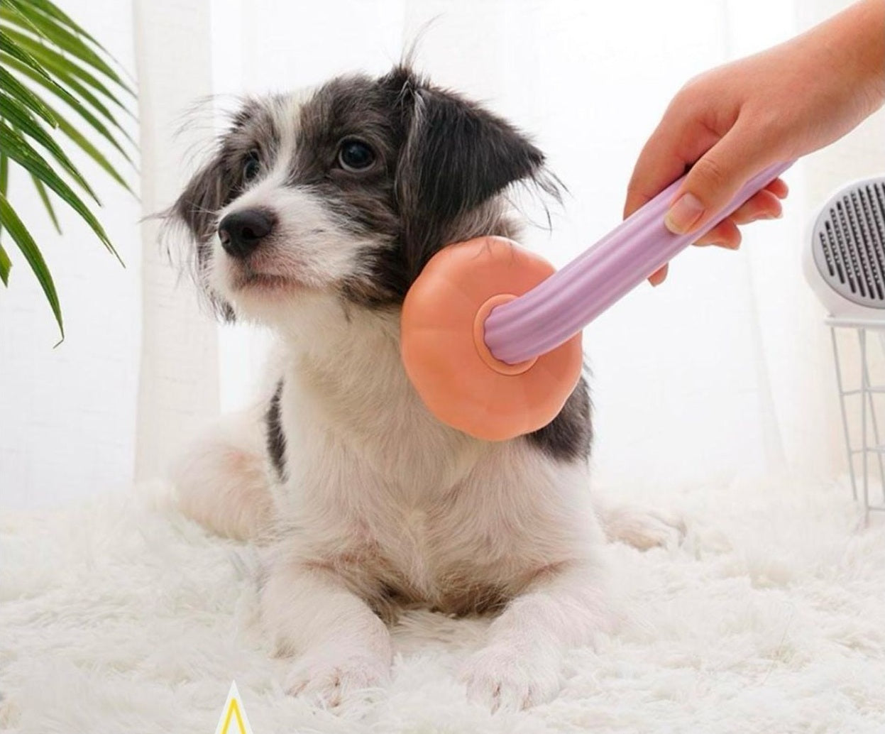 Cepillo Removedor De Pelo